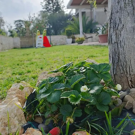 Dimora Carola Casa de Férias *